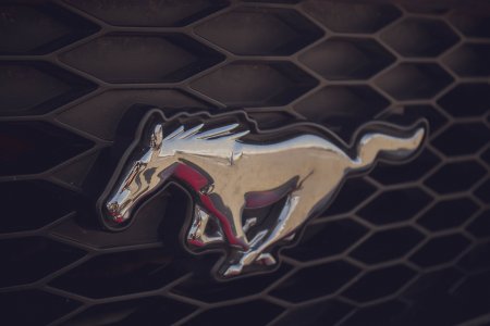 логотип Ford Mustang
